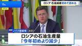 「ロシア副首相 石油生産量減少を認める「製油所が予定外のメンテナンス実施のため」 ウクライナの攻撃の影響か」の画像1