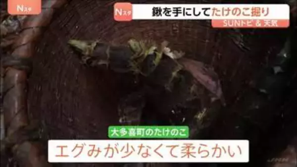 春の味覚　たけのこ料理を味わう　鍬を手にしてたけのこ掘り　山口農園　千葉・大多喜町【SUNトピ】