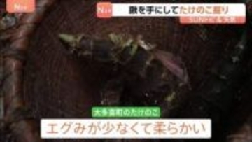 春の味覚　たけのこ料理を味わう　鍬を手にしてたけのこ掘り　山口農園　千葉・大多喜町【SUNトピ】