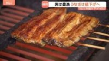 「うなぎは今が一番おすすめ」値下げする店が増加中！　豊漁で卸価格が昨年比25％減