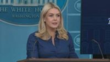 「レバノンでの戦闘停止は停戦合意に含まれない」レビット報道官が明言