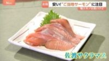 人気No.1のサーモン「輸送コスト増」イラン情勢でノルウェー産など高値に… いま国産の“ご当地サーモン”に脚光