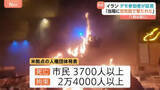 「“3700人以上死亡”イラン反政府デモ 「治安当局がデモ隊に空気銃を発砲」参加者の証言　実弾が使われたケースも多数報告」の画像1