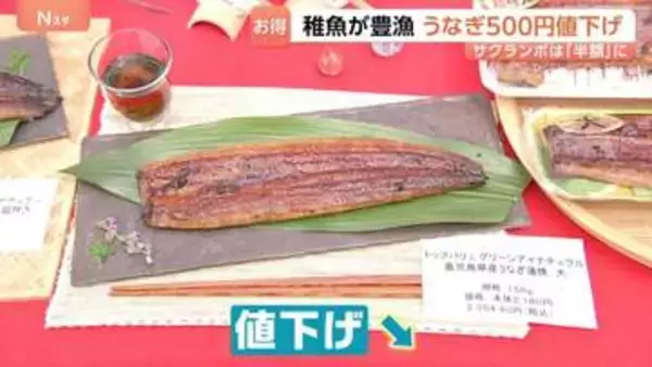 今年はお得！うなぎ500円値下げ！サクランボは「去年の半額」に？