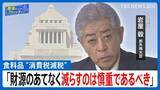 「【国旗損壊罪 採決を棄権】「立法事実がない」、【食料品 “消費税減税”】「財源のあてもなく減らすのは慎重であるべき」【自民党・岩屋毅前外務大臣】【国会トークフロントライン】」の画像1