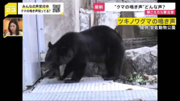 岩手・クマに襲われ男性死亡 秋田・田んぼ脇の側溝に女性の遺体 秋田県知事「私たちの力の範囲を超えている」防衛省が自衛隊を派遣の方向で検討【news23】