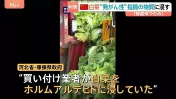 中国で買い付け業者が白菜をホルムアルデヒドに浸す 「鮮度を保つことを目的とした違法行為」インターネット上の告発を受け調査