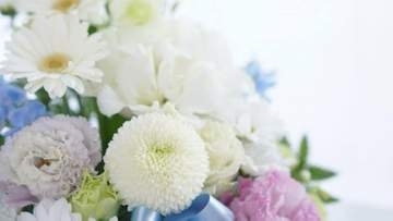【 速報 】草間彌生さん死去 97歳　多臓器不全のため「亡くなる直前まで絵筆を手放すことなく」事務所発表（全文）