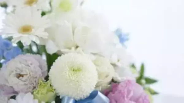 【 速報 】草間彌生さん死去 97歳　多臓器不全のため　事務所関係者「先月まで病室にて絵画制作に励んでいた」公式発表（全文掲載）