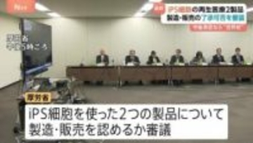 iPS細胞を使った2製品を審議　了承・承認なら”世界初”　心臓病・パーキンソン病の治療に使用　厚生労働省