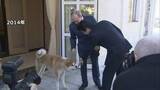「ロシア・プーチン大統領に贈られた秋田犬「ゆめ」が去年、老衰のため天国へ　ロシア大統領府」の画像1