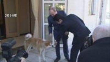 ロシア・プーチン大統領に贈られた秋田犬「ゆめ」が去年、老衰のため天国へ　ロシア大統領府