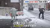 「東京都心でも5cmの積雪観測　関東各地で雪　宇都宮市では朝から雪かき　衆議院選挙の投票や大学入試も実施」の画像1