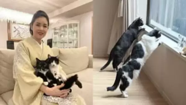 【藤あや子】愛猫による「我が家が誇る2基の監視システムが本気出してた」