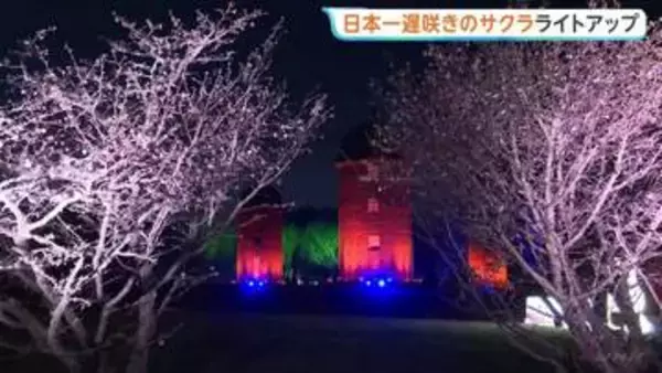 北海道・根室市で日本一遅咲きのサクラとレンガ造りサイロのライトアップ「サイロがある公園は根室くらい」