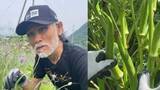 「【片岡鶴太郎】巨大オクラを収穫「自然の恵みと、植物の生命力を感じる」山梨の畑で」の画像1