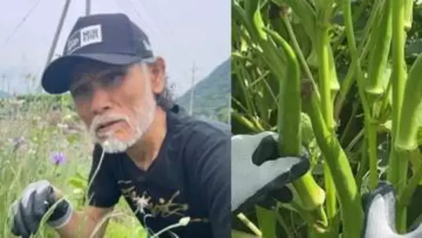 【片岡鶴太郎】巨大オクラを収穫「自然の恵みと、植物の生命力を感じる」山梨の畑で