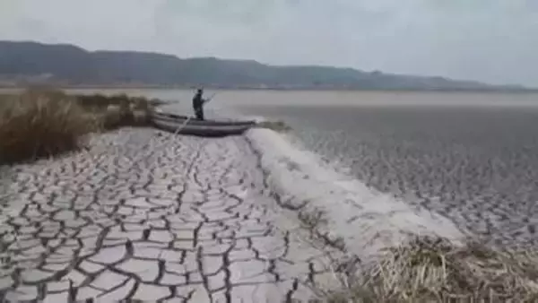 エルニーニョ現象“さらに強くなる見込み”洪水や干ばつ・猛暑リスク高まる WMO「一刻も猶予ない」各国気象機関と連携へ