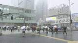 「【台風6号】都内でも多くの公立学校で休校　けさの時点で判断の自治体も」の画像1