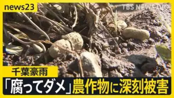 【台風18号】週末に「非常に強い勢力」に発達へ　千葉豪雨の被災地では断水解消…“水没車”撤去も農作物への被害が深刻【news23】