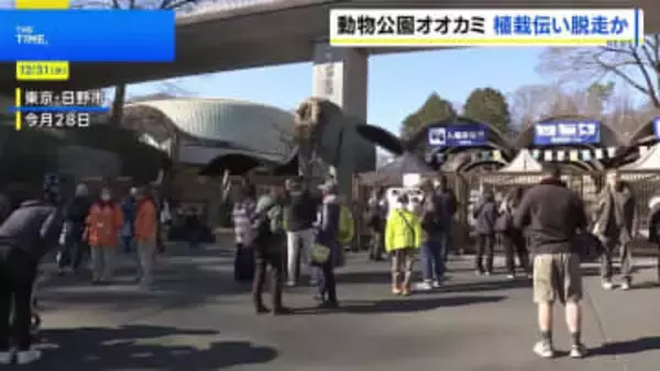 オオカミは飼育エリアの壁に生えた植栽を伝って擁壁を飛び越え脱走か 麻酔銃など使い園内で捕獲　東京・日野市の多摩動物公園