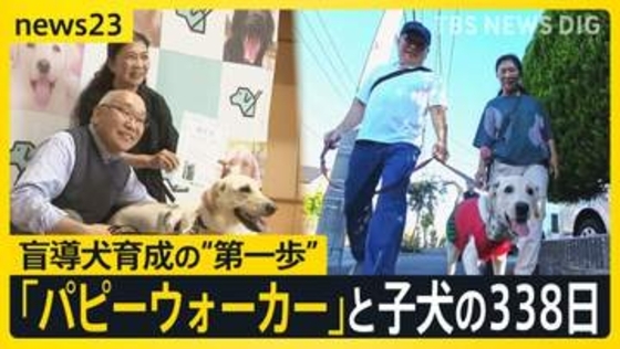 【盲導犬候補犬クレール】パピーウォーカーとの1年間に密着「何をしてもかわいい時期を一緒に」盲導犬を支えるボランティア　出会いから別れまでの338日【news23】