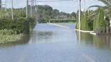 「千葉豪雨 死者9人に　今も冠水続く場所も…　熊谷知事は国に激甚災害への指定を要請する方針」の画像1