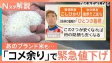 魚沼産コシヒカリも「緊急値下げ」コメ価格 7週連続で値下がり、新潟のコメ問屋の現状は？【Nスタ解説】