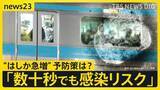 「【はしか急増】今年の感染者数400人超え　去年の約4.5倍ペースで拡大　推奨される予防策とは？【news23】」の画像1