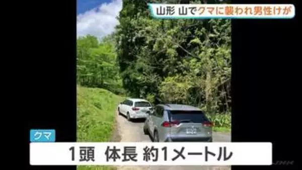 山菜採りの男性がクマに襲われる　顔や頭にけがも命に別状なし　クマの体長1m　山形・朝日町