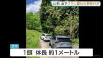 山菜採りの男性がクマに襲われる　顔や頭にけがも命に別状なし　クマの体長1m　山形・朝日町
