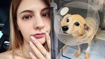 【 マギー 】「３月に急性肺水腫になり通院と投薬生活」“13歳になる愛犬” 手術と術後の経過を報告