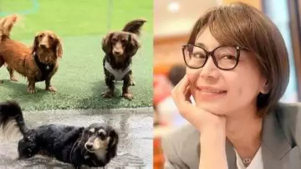 【 氷川きよし 】「親バカですんません」朝から走り回る愛犬たちとの日常を投稿「毎日、溺愛してます」