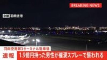 【速報】羽田空港第3ターミナル駐車場で1.9億円持った男性が催涙スプレーで襲われる　警視庁