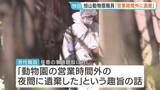 「「営業時間外の夜間に遺体を遺棄した」任意の聴取受けている男性職員（30代）旭山動物園の焼却炉に妻の遺体遺棄か　北海道・旭川市」の画像1