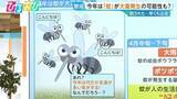 「4月の天気で“好条件” 今年は「蚊」が大量発生！？【ひるおび】」の画像1