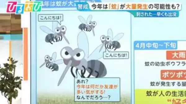 4月の天気で“好条件” 今年は「蚊」が大量発生！？【ひるおび】