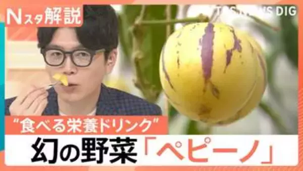 「日本では幻の果実」メロン？洋梨？野菜なのに甘い“食べる栄養ドリンク”と注目の新野菜「ペピーノ」【Nスタ解説】