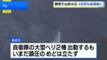 静岡・藤枝市 山林火災発生から3日 現在も延焼中 鎮圧の見通し立たず