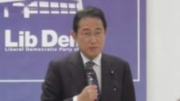 「iDeCo」50歳以上で追加拠出枠の導入検討も　自民・資産運用立国議連が提言案