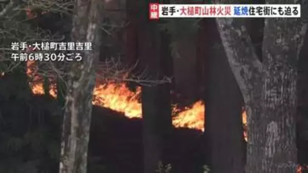 岩手・大槌町の山林火災　延焼続き住宅街にも迫る　82世帯210人が避難所に　防災ヘリや自衛隊ヘリなど消火活動