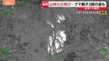 「岩手・大槌町の山林火災　調査で3か所の熱源確認　周辺には特殊カメラで捉えた3頭のクマも」の画像1