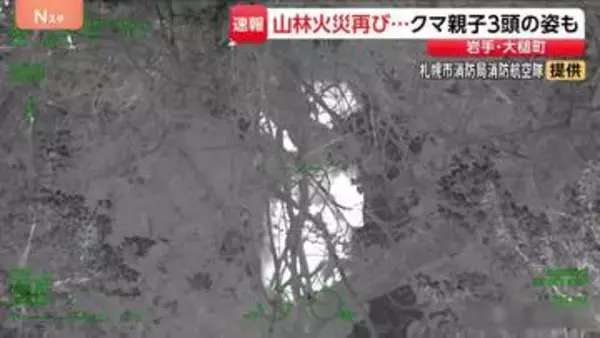 岩手・大槌町の山林火災　調査で3か所の熱源確認　周辺には特殊カメラで捉えた3頭のクマも