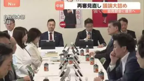 再審制度見直しめぐる改正案　法務省が検察官抗告「原則禁止」を本則に盛り込んだ修正案提示へ　自民党はきょう法案了承したい考え