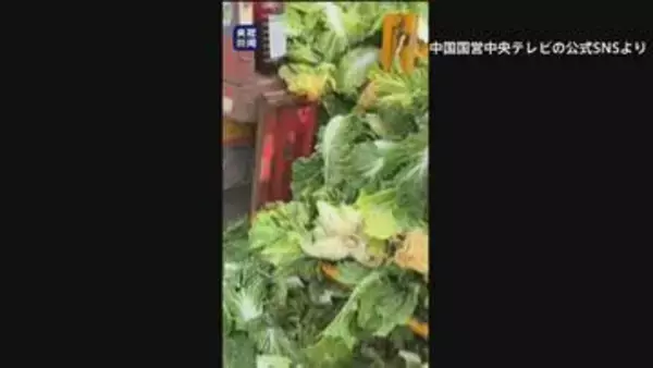 中国　白菜を発がん性指摘のホルムアルデヒドに浸したか「鮮度保つため」