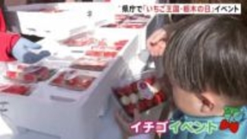 イチゴ狩り体験にイチゴを使った洋菓子販売　生産量日本一の栃木県庁で「いちご王国・栃木の日」イベント