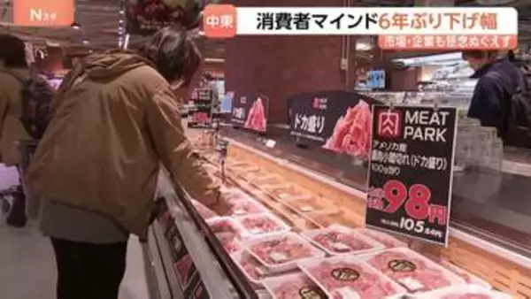 消費者マインド6年ぶりの大きな下げ幅　イラン情勢“停戦合意”も霧は濃く… 市場・企業も懸念ぬぐえず