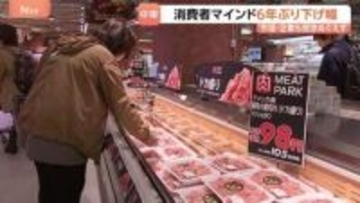 消費者マインド6年ぶりの大きな下げ幅　イラン情勢“停戦合意”も霧は濃く… 市場・企業も懸念ぬぐえず