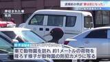 「防犯カメラに1ｍほどの荷物を降ろす鈴木容疑者の様子　別の車両に移し替えて焼却炉で燃やした可能性　妻を脅迫していたこと認める　旭山動物園・遺体損壊事件」の画像1