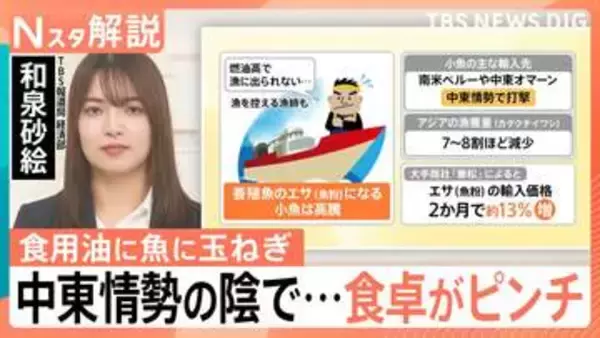 食卓のピンチは食用油だけでなく、魚にも　中東情勢でコスト増…専門家が指摘する「1年のタイムラグ」【Nスタ解説】